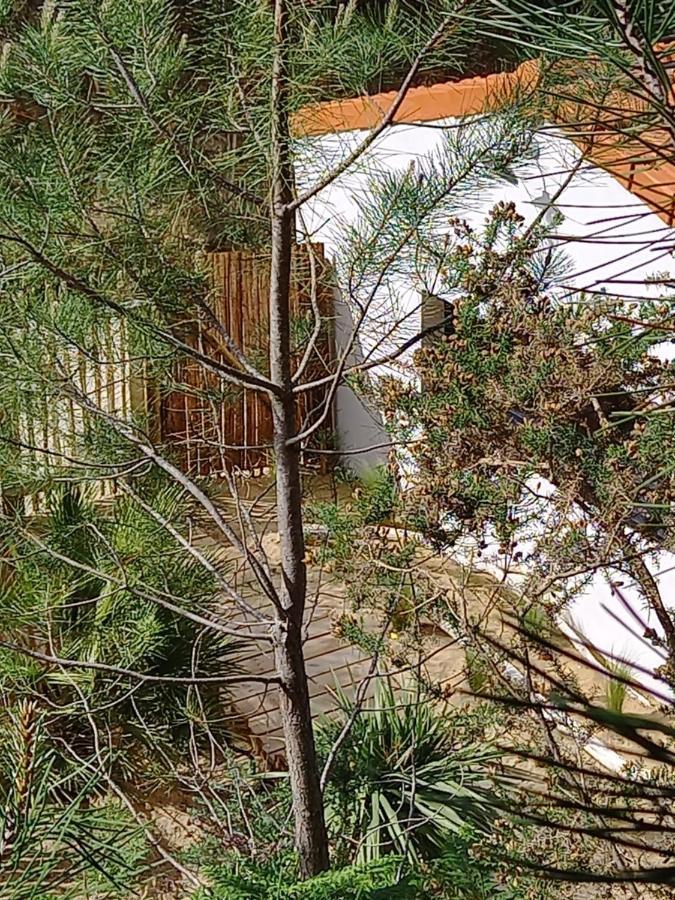 Cot'& Dune - Lodge D'Hote & Spa De Nage Saint-Augustin  Εξωτερικό φωτογραφία