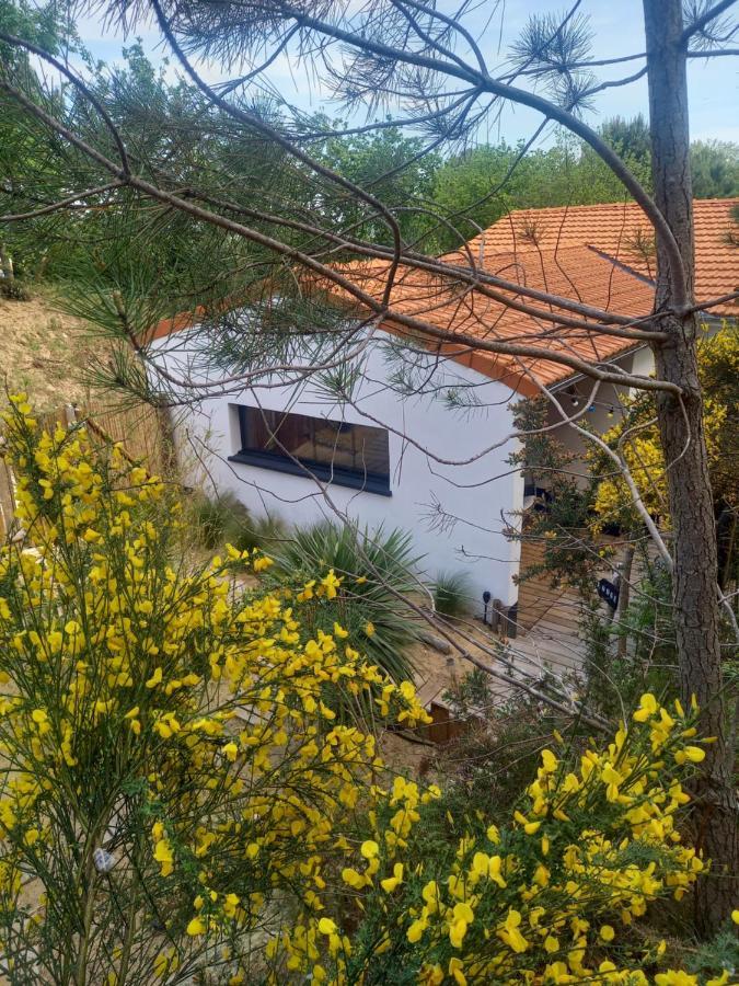 Cot'& Dune - Lodge D'Hote & Spa De Nage Saint-Augustin  Εξωτερικό φωτογραφία
